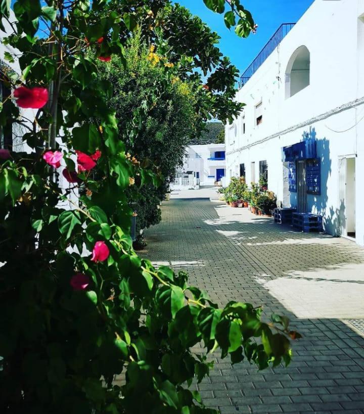 Casa Del Pez Vivienda A Pie De Calle En Agua Amarga A 250 Metros De La Playa מראה חיצוני תמונה